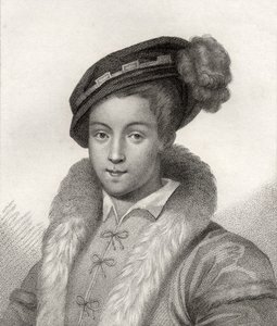 VI. Edward, az 1806-ban kiadott "A katalógus a királyi és nemes szerzőkről" című kötetből. alkotó: English School